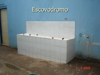Escovodromo 