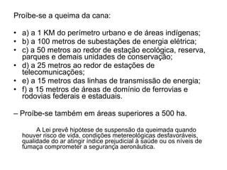 Proíbe-se a queima da cana: a) a 1 KM do perímetro urbano e de áreas indígenas;  b) a 100 metros de subestações de energia elétrica;  c) a 50 metros ao redor de estação ecológica, reserva, parques e demais unidades de conservação;  d) a 25 metros ao redor de estações de telecomunicações;  e) a 15 metros das linhas de transmissão de energia;  f) a 15 metros de áreas de domínio de ferrovias e rodovias federais e estaduais. –  Proíbe-se também em áreas superiores a 500 ha. A Lei prevê hipótese de suspensão da queimada quando houver risco de vida, condições metereológicas desfavoráveis, qualidade do ar atingir índice prejudicial à saúde ou os níveis de fumaça comprometer a segurança aeronáutica. 