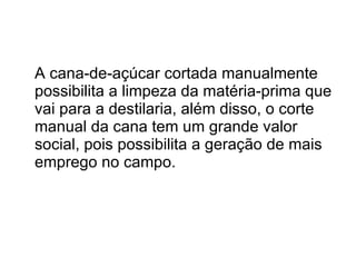 A cana-de-açúcar cortada manualmente possibilita a limpeza da matéria-prima que vai para a destilaria, além disso, o corte manual da cana tem um grande valor social, pois possibilita a geração de mais emprego no campo.  