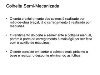 Colheita Semi-Mecanizada O corte e enleiramento dos colmos é realizado por   mão-de-obra braçal, já o carregamento é realizado por máquinas. O rendimento do corte é semelhante a colheita manual, porém a parte de carregamento é mais ágil por ser feita com o auxílio de máquinas. O corte consiste em cortar o colmo o mais próximo a base e realizar o desponte eliminando as folhas. 
