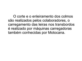 O corte e o enleiramento dos colmos são realizados pelos colaboradores, o carregamento das leiras nos transbordos é realizado por máquinas carregadoras também conhecidas por Motocana.  