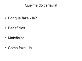 Queima do canavial Por que faze - lá? Benefícios Malefícios Como faze - lá 