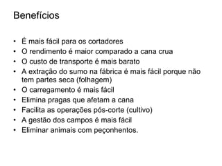 Benefícios  É mais fácil para os cortadores O rendimento é maior comparado a cana crua O custo de transporte é mais barato  A extração do sumo na fábrica é mais fácil porque não tem partes seca (folhagem) O carregamento é mais fácil Elimina pragas que afetam a cana Facilita as operações pós-corte (cultivo) A gestão dos campos é mais fácil Eliminar animais com peçonhentos. 