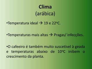 Clima
(arábica)
•Temperatura ideal  19 e 22oC.
•Temperaturas mais altas  Pragas/ infecções.
•O cafeeiro é também muito suscetível à geada
e temperaturas abaixo de 10oC inibem o
crescimento da planta.

 