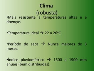 Clima
(robusta)

•Mais resistente a temperaturas altas e a
doenças
•Temperatura ideal  22 a 26oC.
•Período de seca  Nunca maiores de 3
meses.
•Índice pluviométrico  1500 a 1900 mm
anuais (bem distribuídas).

 