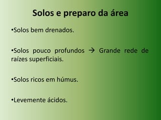 Solos e preparo da área
•Solos bem drenados.
•Solos pouco profundos  Grande rede de
raízes superficiais.
•Solos ricos em húmus.
•Levemente ácidos.

 