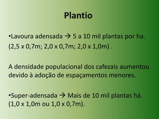 Plantio
•Lavoura adensada  5 a 10 mil plantas por ha.
(2,5 x 0,7m; 2,0 x 0,7m; 2,0 x 1,0m) .
A densidade populacional dos cafezais aumentou
devido à adoção de espaçamentos menores.
•Super-adensada  Mais de 10 mil plantas há.
(1,0 x 1,0m ou 1,0 x 0,7m).

 