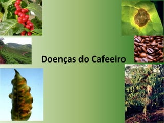 Doenças do Cafeeiro

 