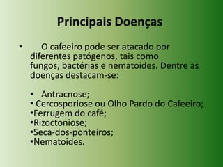 Principais Doenças
•

O cafeeiro pode ser atacado por
diferentes patógenos, tais como
fungos, bactérias e nematoides. Dentre as
doenças destacam-se:

• Antracnose;
• Cercosporiose ou Olho Pardo do Cafeeiro;
•Ferrugem do café;
•Rizoctoniose;
•Seca-dos-ponteiros;
•Nematoides.

 