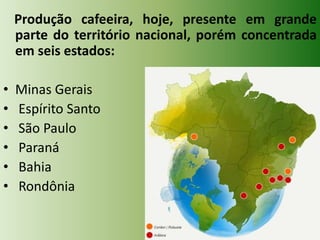 Produção cafeeira, hoje, presente em grande
parte do território nacional, porém concentrada
em seis estados:
•
•
•
•
•
•

Minas Gerais
Espírito Santo
São Paulo
Paraná
Bahia
Rondônia

 