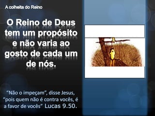 A colheita do ReinoO Reino de Deus tem um propósito e não varia ao gosto de cada um de nós.“Não o impeçam”, disse Jesus, “pois quem não é contra vocês, é a favor de vocês”Lucas 9.50.