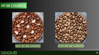 29
KIT DE COLHEITA
Fonte: Alberto Anabuki, 2025.
Sem kit de colheita Com kit de colheita
 