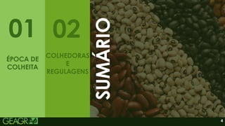 4
01 03 04 05
02
SUMÁRIO
COLHEDORAS
E
REGULAGENS
ÉPOCA DE
COLHEITA
 