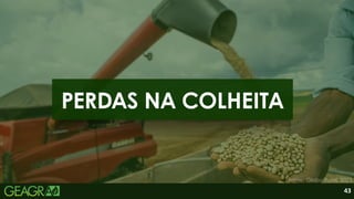 43
PERDAS NA COLHEITA
Fonte: Globo Rural, 2023.
 