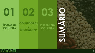 5
01 04 05
03
SUMÁRIO
COLHEDORAS
E
REGULAGENS
ÉPOCA DE
COLHEITA
PERDAS NA
COLHEITA
02
 