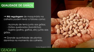 53
QUALIDADE DE GRÃOS
→Má regulagem de maquinário na
colheita podem levar a fatores como:
- Acúmulo de terra junto aos grãos;
- Grãos quebrados (bandinha);
- Sujeira (palha, galhos, etc) junto aos
grãos.
→Grande quantidade de plantas
daninhas no momento da colheita.
Fonte: Blogspot, 2012.
 