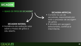 11
QUAIS OS TIPOS DE SECAGEM?
SECAGEM
SECAGEM NATURAL
Incidência da radiação solar
sobre a massa de grãos a
céu aberto.
SECAGEM ARTIFICIAL
Consiste no uso de
secadores, responsáveis por
todo o processo de secagem
de grãos;
É dividido em secagem
estacionária, contínua e
intermitente.
60
 