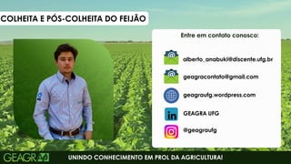 Entre em contato conosco:
UNINDO CONHECIMENTO EM PROL DA AGRICULTURA!
geagraufg.wordpress.com
geagracontato@gmail.com
GEAGRA UFG
@geagraufg
COLHEITA E PÓS-COLHEITA DO FEIJÃO
alberto_anabuki@discente.ufg.br
 