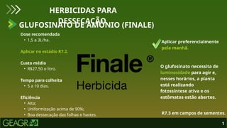Dose recomendada
• 1,5 a 3L/ha.
Aplicar no estádio R7.2.
Custo médio
• R$27,50 o litro.
Tempo para colheita
• 5 a 10 dias.
Eficiência
• Alta;
• Uniformização acima de 90%;
• Boa dessecação das folhas e hastes.
HERBICIDAS PARA
DESSECAÇÃO
1
GLUFOSINATO DE AMÔNIO (FINALE)
Aplicar preferencialmente
pela manhã.
O glufosinato necessita de
luminosidade para agir e,
nesses horários, a planta
está realizando
fotossíntese ativa e os
estômatos estão abertos.
R7.3 em campos de sementes.
 