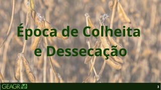 Época de Colheita
e Dessecação
3
Fonte: Canva, 2026.
 