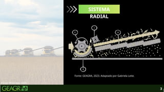 3
Fonte: Pinterest, 2026.
SISTEMA
RADIAL
Fonte: GEAGRA, 2023. Adaptado por Gabriela Leite.
 