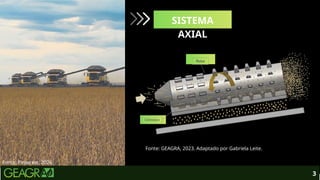 3
Fonte: Pinterest, 2026.
SISTEMA
AXIAL
Fonte: GEAGRA, 2023. Adaptado por Gabriela Leite.
 