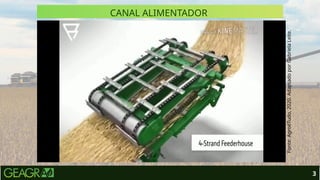 3
Fonte:
AgroéTudo,
2020.
Adaptado
por
Gabriela
Leite.
CANAL ALIMENTADOR
 