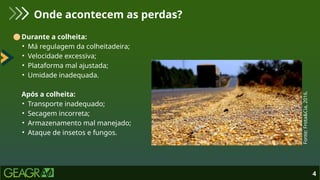 Durante a colheita:
• Má regulagem da colheitadeira;
• Velocidade excessiva;
• Plataforma mal ajustada;
• Umidade inadequada.
Após a colheita:
• Transporte inadequado;
• Secagem incorreta;
• Armazenamento mal manejado;
• Ataque de insetos e fungos.
4
Onde acontecem as perdas?
Fonte:
Frota&Cia,
2016.
 