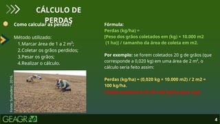 Como calcular as perdas?
Método utilizado:
1.Marcar área de 1 a 2 m²;
2.Coletar os grãos perdidos;
3.Pesar os grãos;
4.Realizar o cálculo.
4
CÁLCULO DE
PERDAS
Fonte:
Sumadesc,
2016.
Fórmula:
Perdas (kg/ha) =
[Peso dos grãos coletados em (kg) × 10.000 m2
(1 ha)] / tamanho da área de coleta em m2.
Por exemplo: se forem coletados 20 g de grãos (que
corresponde a 0,020 kg) em uma área de 2 m², o
cálculo seria feito assim:
Perdas (kg/ha) = (0,020 kg × 10.000 m2) / 2 m2 =
100 kg/ha.
Limite aceitável é de 30 a 60 kg/ha para soja.
 