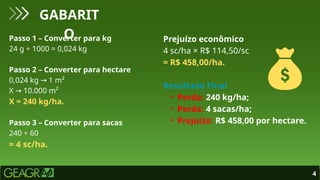 4
GABARIT
O
Passo 1 – Converter para kg
24 g ÷ 1000 = 0,024 kg
Passo 2 – Converter para hectare
0,024 kg 1 m²
→
X 10.000 m²
→
X = 240 kg/ha.
Passo 3 – Converter para sacas
240 ÷ 60
= 4 sc/ha.
Prejuízo econômico
4 sc/ha × R$ 114,50/sc
= R$ 458,00/ha.
Resultado Final
• Perda: 240 kg/ha;
• Perda: 4 sacas/ha;
• Prejuízo: R$ 458,00 por hectare.
 