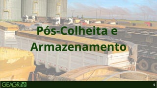 5
Fonte: Pinterest, 2026.
Pós-Colheita e
Armazenamento
 