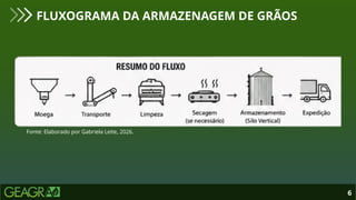6
FLUXOGRAMA DA ARMAZENAGEM DE GRÃOS
Fonte: Elaborado por Gabriela Leite, 2026.
 