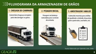 6
FLUXOGRAMA DA ARMAZENAGEM DE GRÃOS
Fonte: Elaborado por Gabriela Leite, 2026.
 