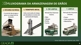 6
FLUXOGRAMA DA ARMAZENAGEM DE GRÃOS
Fonte: Elaborado por Gabriela Leite, 2026.
 