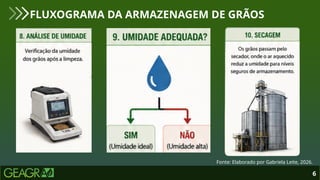 6
FLUXOGRAMA DA ARMAZENAGEM DE GRÃOS
Fonte: Elaborado por Gabriela Leite, 2026.
 