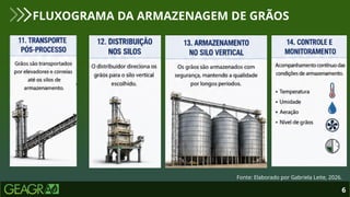 6
FLUXOGRAMA DA ARMAZENAGEM DE GRÃOS
Fonte: Elaborado por Gabriela Leite, 2026.
 