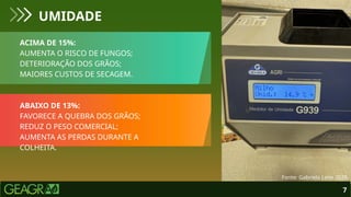 ACIMA DE 15%:
AUMENTA O RISCO DE FUNGOS;
DETERIORAÇÃO DOS GRÃOS;
MAIORES CUSTOS DE SECAGEM.
ABAIXO DE 13%:
FAVORECE A QUEBRA DOS GRÃOS;
REDUZ O PESO COMERCIAL;
AUMENTA AS PERDAS DURANTE A
COLHEITA.
UMIDADE
7
Fonte: Gabriela Leite 2026.
 