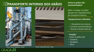 Como os grãos são
movimentados?
Após a moega, os grãos
passam por equipamentos
de transporte interno.
Equipamentos utilizados:
• Elevadores de canecas
• Correias transportadoras;
• Roscas transportadoras.
7
TRANSPORTE INTERNO DOS GRÃOS
Fonte: Horst Systems, 2026. Fonte: Gabriela Leite, 2026.
Função:
Levar os grãos até:
• Limpeza;
• Secagem;
• Silos.
 