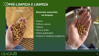 7
PRÉ-LIMPEZA E LIMPEZA
Fonte: Gabriela Leite, 2026.
Fonte: Gabriela Leite, 2026.
ANTES
DEPOIS
Materiais removidos
na limpeza
• Poeira
• Palha e cascas
• Pedras
• Terra e areia
• Grãos quebrados
• Insetos e resíduos orgânicos
 
