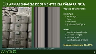 8
ARMAZENAGEM DE SEMENTES EM CÂMARA FRIA
Fonte: Maithê Leles, 2026.
Objetivo da Câmara Fria
Preservar:
• Germinação
• Vigor
• Viabilidade
• Qualidade fisiológica
Evitar:
• Deterioração acelerada
• Ataque de fungos
• Perda de vigor
• Envelhecimento precoce.
Sementes comerciais: 10 a 15°C.
Fonte: Maithê Leles, 2026.
 