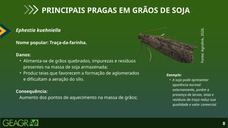 Ephestia kuehniella
Nome popular: Traça-da-farinha.
Danos:
• Alimenta-se de grãos quebrados, impurezas e resíduos
presentes na massa de soja armazenada;
• Produz teias que favorecem a formação de aglomerados
e dificultam a aeração do silo.
Consequência:
Aumento dos pontos de aquecimento na massa de grãos;
8
PRINCIPAIS PRAGAS EM GRÃOS DE SOJA
Fonte:
Agrolink,
2026.
Exemplo:
• A soja pode apresentar
aparência normal
externamente, porém a
presença de larvas, teias e
resíduos da traça reduz sua
qualidade e valor comercial.
 