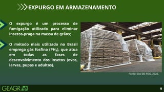 O expurgo é um processo de
fumigação utilizado para eliminar
insetos-praga na massa de grãos;
O método mais utilizado no Brasil
emprega gás fosfina (PH₃), que atua
em todas as fases de
desenvolvimento dos insetos (ovos,
larvas, pupas e adultos).
9
EXPURGO EM ARMAZENAMENTO
Fonte: Site DD FOG, 2026.
 