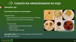 Aspergillus spp.
O principal fungo de armazenagem.
Características:
• Desenvolve-se em ambientes quentes e úmidos;
• Muito comum em silos mal ventilados.
Pode causar:
⚬ Aquecimento da massa de grãos
⚬ Mofo visível
⚬ Perda de germinação
Aspergillus flavus é uma das espécies mais frequentes
em soja armazenada.
9
FUNGOS NA ARMAZENAGEM DA SOJA
Fonte: ResearchGate, 2023.
 