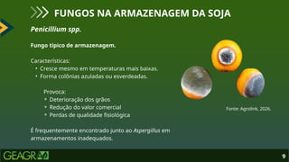 Penicillium spp.
Fungo típico de armazenagem.
Características:
• Cresce mesmo em temperaturas mais baixas.
• Forma colônias azuladas ou esverdeadas.
Provoca:
⚬ Deterioração dos grãos
⚬ Redução do valor comercial
⚬ Perdas de qualidade fisiológica
É frequentemente encontrado junto ao Aspergillus em
armazenamentos inadequados.
9
FUNGOS NA ARMAZENAGEM DA SOJA
Fonte: Agrolink, 2026.
 