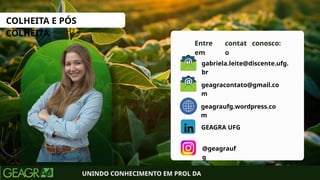 Entre
em
UNINDO CONHECIMENTO EM PROL DA
conosco:
contat
o
geagraufg.wordpress.co
m
geagracontato@gmail.co
m
@geagrauf
g
GEAGRA UFG
gabriela.leite@discente.ufg.
br
COLHEITA E PÓS
COLHEITA
 