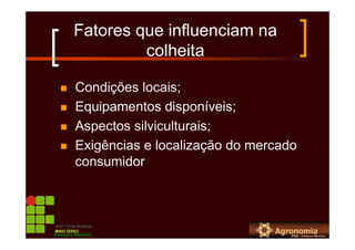 Fatores que influenciam na
colheita
Condições locais;
Equipamentos disponíveis;
Aspectos silviculturais;
Exigências e localização do mercado
consumidor
Campus Bambuí
 