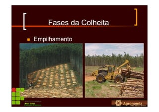 Fases da Colheita
Empilhamento
Campus Bambuí
 