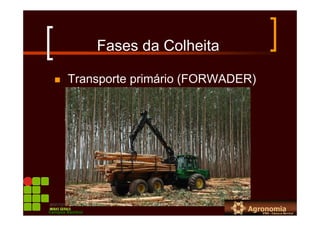 Fases da Colheita
Transporte primário (FORWADER)
Campus Bambuí
 