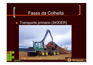 Fases da Colheita
Transporte primário (SKIDER)
Campus Bambuí
 