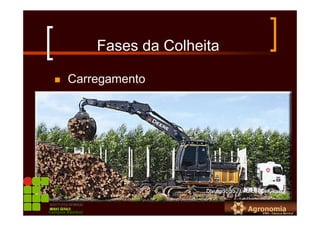 Fases da Colheita
Carregamento
Campus Bambuí
 